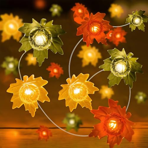 ALEGRE Herbst Lichterkette,3M 30 LED Ahornblätter Lichterkette Batterie,Herbstdeko Ahornblatt Deko Lichterketten Innen Außen,LED Lichterketten für Halloween,Weihnachten,Erntedankfest,Herbst Dekoration von ALEGRE