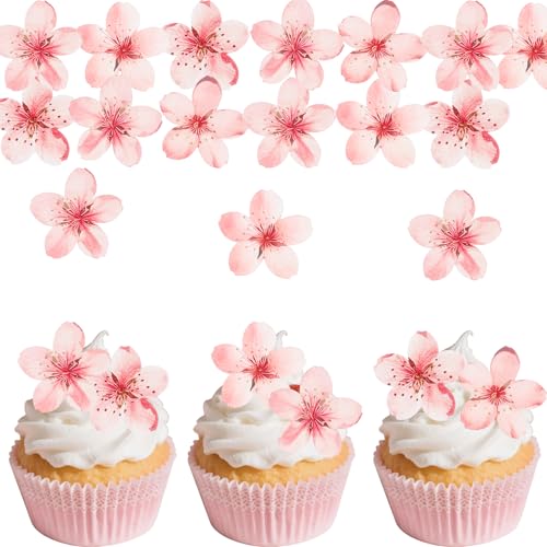 ALEGRE Kirschblüten Tortendeko, 60 Stück, für Hochzeit, Taufe und Geburtstag von ALEGRE