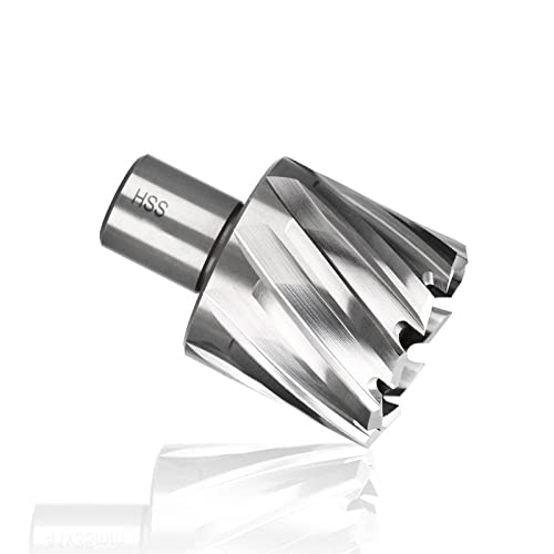 ALEYHA HSS Ringschneider Kernbohrer 19mm Weldonschaft Hohlbohrer Lochsägenschneider,29 X 35 Mm von ALEYHA