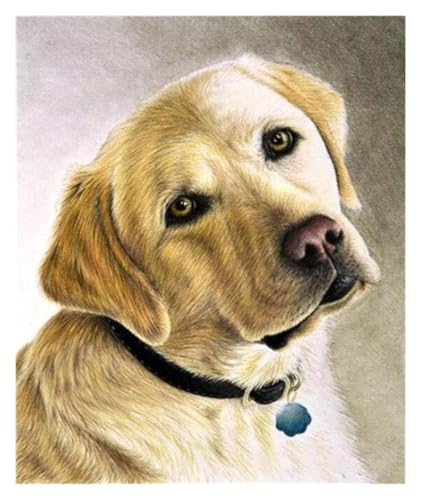 ALIEDA 5D DIY Erwachsene Diamond Painting Kit Cute Yellow Labrador Dog Square Diamond Crystal Rhinestones Stickerei Kreuzstich Kunsthandwerk Home Wanddekoration(30x40cm) von ALIEDA