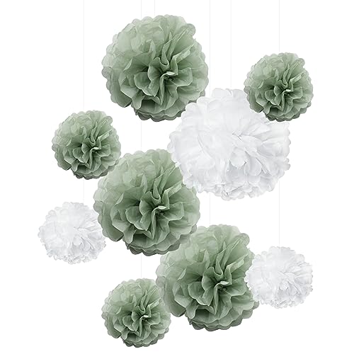 Große Seidenpapier-Pompons, Pastellfarben, Boho-Blumen, Wandbehang, Tafelaufsätze für botanisches Grün, Babyparty, Hochzeit, Geburtstag, Kinderzimmer, Dekoration, 9 Stück von ALLHEARTDESIRES