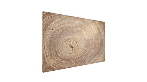 ALLboards Metallische Magnettafel BAUMSTAMM NATUR BAUMKERN 60x40cm MetalBoards Memoboard für jede Art von Magneten Magnetpinnwand zum Beschriften + 4 Marker, 10 Magnete und Schwamm im Lieferumfang von ALLboards