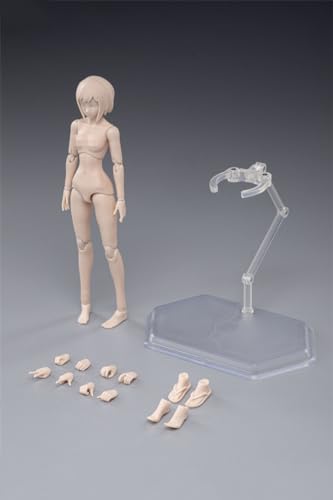 AMITD 1/12 Maßstab weiblicher Körper,6inch Weibliche Joint Flexible Action Figure Körper with Kopfskulptur&Stand Collection (Pale Skin, Little Bust) von AMITD