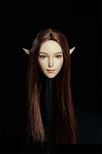 AMITD 1/6 Maßstab Beauty Elf Girl Pale Skin Planted Hair Kopfskulptur Carved for 12inch Action Figure Körper Collection (Long Brown Hair) von AMITD