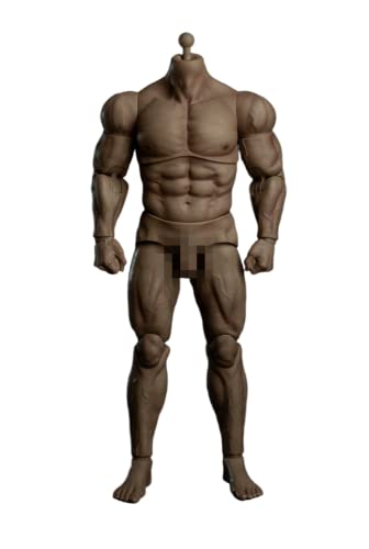 AMITD 1/6 Maßstab Male Körper, 12inches Male Joint Flexible Muscular Nude Action Figure Körper Doll Collection AMITD 1/6 Maßstab Male Körper, 12inches Male Joint Flexible Muscular Nude Action Figure Körper Doll Collection von AMITD