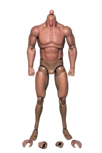 AMITD 1/6 Maßstab Male Körper, 12inches Male Muscler Strong Action Figure Körper Doll Collection AMITD 1/6 Maßstab Male Körper, 12inches Male Muscler Strong Action Figure Körper Doll Collection von AMITD