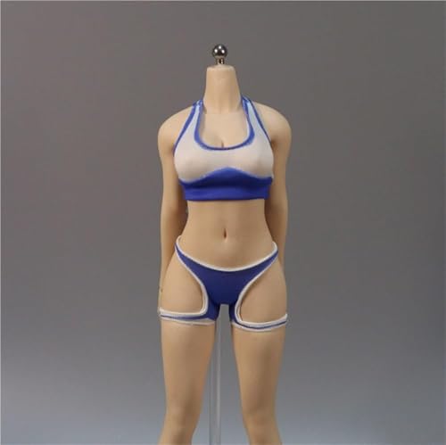 AMITD 1/6 Scale Female,Figure Doll Clothes Sports Underwear Costume for 12" Soldier Action Figure(Blue) von AMITD