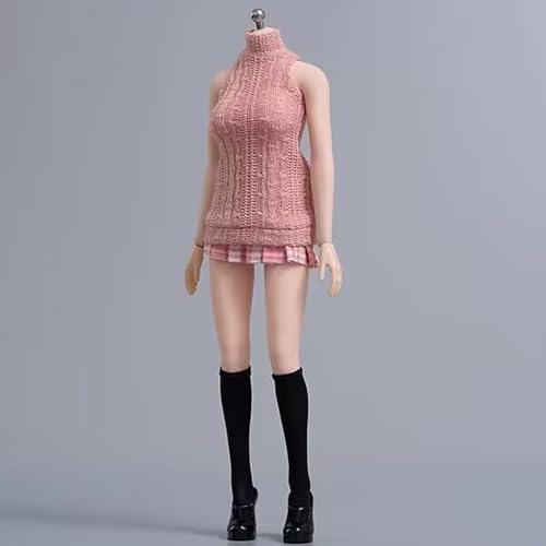 AMITD 1/6 Scale Female Figure Doll Clothes, Sweater+Skirt+Socks+Shoes+Underwear Uniform Costume for 12 inch Female Action Figure Body Phicen/TBLeague (Pink) von AMITD