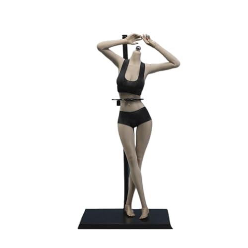 AMITD 1/6 weiblicher Körper, 12" Super Flexible European Type, JIAOUDOLL Seamless Large Bust, No Head(Black Skin, JOQ-10D-Big Bust-Detachable Feet) von AMITD