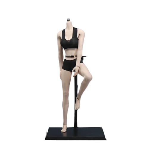AMITD 1/6 weiblicher Körper, 12" Super Flexible European Type, JIAOUDOLL Seamless Large Bust, No Head(New Pale Skin, JOQ-10D-Big Bust-Detachable Feet) von AMITD