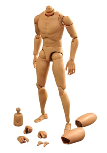 AMITD B001 1/6 Scale Male Narrow Shoulder Body for 12 Inch Men Clothes Fourth Generation Enhanced Version Figure Body, Multicolored, Medium (SJYT-001) von AMITD