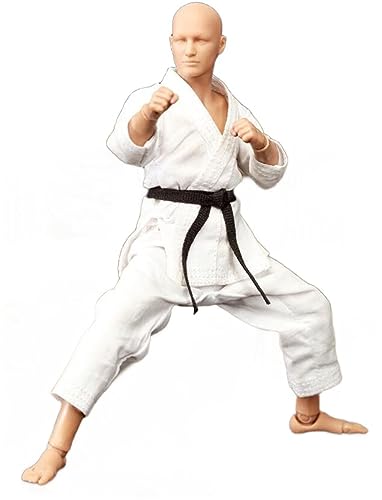 AMITD DID SF80001 1/12 Scale The Karate Player 6 inch Man Action Figure AMITD DID SF80001 1/12 Scale The Karate Player 6 inch Man Action Figure von AMITD