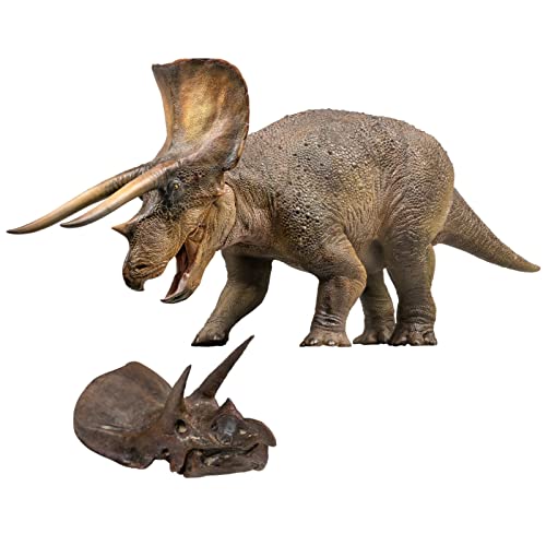 AMITD Dinosaur Museums Series 1:35 Triceratops Doyle Figure Scientific Art Model Collector Decoration Gift von AMITD