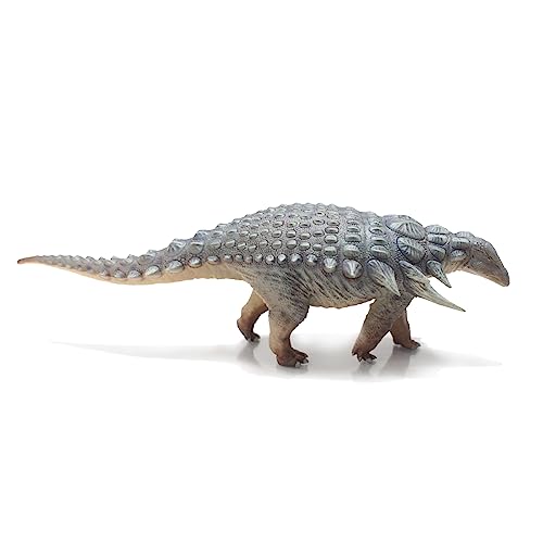 AMITD Edmontonia (Jiezhen) von AMITD