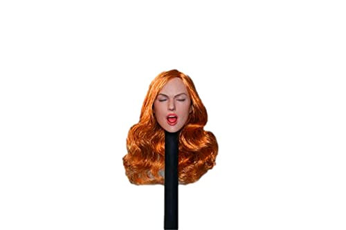 AMITD GC011 1/6 Scale Female Head Sculpt for Europe Girl 12 inch collectable Action Figure D AMITD GC011 1/6 Scale Female Head Sculpt for Europe Girl 12 inch collectable Action Figure D von AMITD