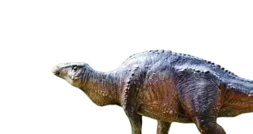 AMITD Mandschurosaurus Model Hadrosauridae Dinosaur Decor Prehistoric Collection Gift AMITD Mandschurosaurus Model Hadrosauridae Dinosaur Decor Prehistoric Collection Gift von AMITD
