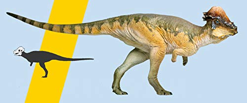 AMITD Pachycephalosaurus Austin Figure Realistic Stygimoloch Pachycephalosauridae Dinosaur PVC Collector Toys Animal Art Model Decoration Gift for Adult AMITD Pachycephalosaurus Austin Figure Realistic Stygimoloch Pachycephalosauridae Dinosaur PVC Collector Toys Animal Art Model Decoration Gift for Adult von AMITD