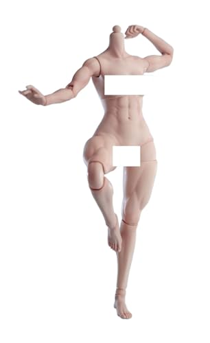 AMITD Worldbox 1/6 Scale Female Doll Muscle Body for 12 inch Woman Action Figure AT206A Pale Skin AMITD Worldbox 1/6 Scale Female Doll Muscle Body for 12 inch Woman Action Figure AT206A Pale Skin von AMITD