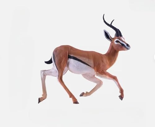 AMITD Zoo Animal Model Thomson's Gazelle Animal Figure Collector Decor Gift AMITD Zoo Animal Model Thomson's Gazelle Animal Figure Collector Decor Gift von AMITD