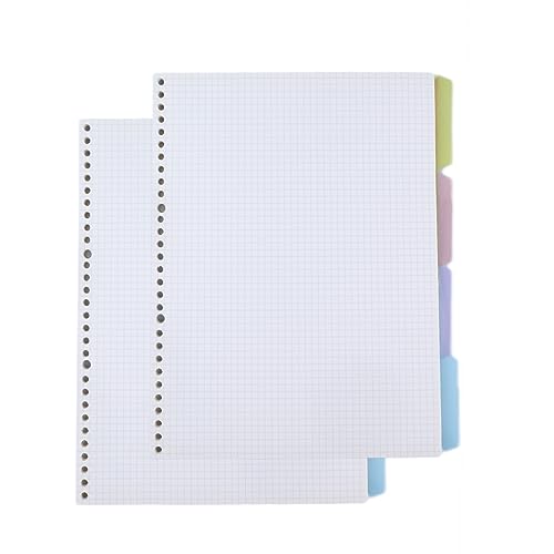 AMO HERMOSO 2 Packungen Spiralblock Nachfüllbar, Nachfüllpapier für Spiral Notebook, 240 Seiten, 80 g/m² (A4, Kariert) von AMO HERMOSO