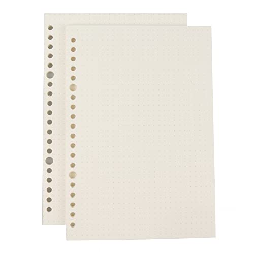 AMO HERMOSO 2 Packungen A5 Refill Gepünktet Papier für Spiralblock Notizblock, Dotted, Notebook Gepünktet Paper, 80gsm, 120 Blatt, 240 Seiten (dotted-refill) von AMO HERMOSO