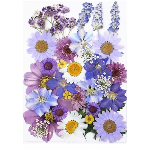 AMPUTEE 1 Beutel mit getrockneten Blumen geprägten Aufklebern for selbstgemachte Handyhüllen, mit Epoxidharz gefüllte Anhänger, Kunsthandwerk, Nagelkunst-Dekoration (Color : 15) von AMPUTEE