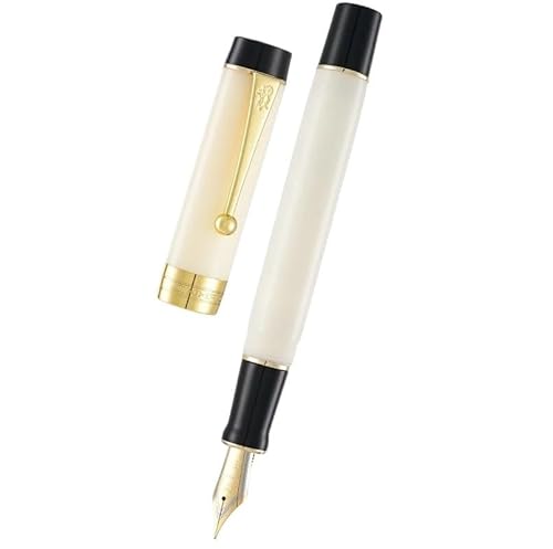 AMSOH Acryl-Füllfederhalter, schöner grüner Geschenkstift EF/F/M mit Konverter, Schreibwaren, Büro, Schulbedarf, Schreibwaren (Panda, M) von AMSOH