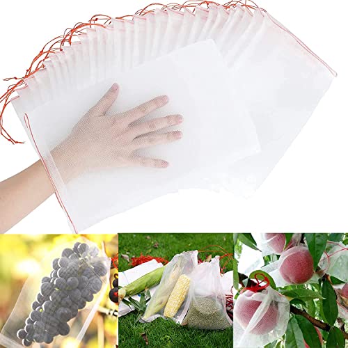 60 Stück Obst Schutzbeutel mit Kordelzug, Insekten Mückennetz Absperrbeutel Trauben-Schutzbeutel Garten Netz Beutel Organzabeutel zum Schutz von Pflanzen Frucht Blumen Gemüse, 15x25cm 60 Stück Obst Schutzbeutel mit Kordelzug, Insekten Mückennetz Absperrbeutel Trauben-Schutzbeutel Garten Netz Beutel Organzabeutel zum Schutz von Pflanzen Frucht Blumen Gemüse, 15x25cm von AMZMUKAUP