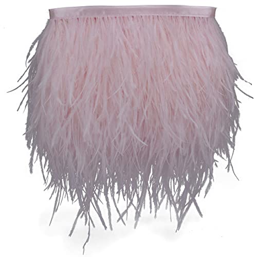 AMZTKDIY Fransenband mit Straußenfedern für Bastelarbeiten, Kleidung, Accessoires, lateinisches Hochzeitskleid, DIY, 2 Yards, 10,2 bis 15,2 cm breit, Babyrosa AMZTKDIY Fransenband mit Straußenfedern für Bastelarbeiten, Kleidung, Accessoires, lateinisches Hochzeitskleid, DIY, 2 Yards, 10,2 bis 15,2 cm breit, Babyrosa von AMZTKDIY
