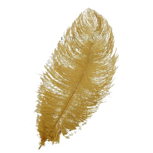 AMateschitz 10 Stück Straußenfedern Natürliche Strauß Feder Plume Schöne Strauß Feder Dekofedern Weich Straußenfedern zum Basteln Mehrfarbig für Hochzeit Zuhause Kostüme DIY Gold 25-30cm AMateschitz 10 Stück Straußenfedern Natürliche Strauß Feder Plume Schöne Strauß Feder Dekofedern Weich Straußenfedern zum Basteln Mehrfarbig für Hochzeit Zuhause Kostüme DIY Gold 25-30cm von AMateschitz