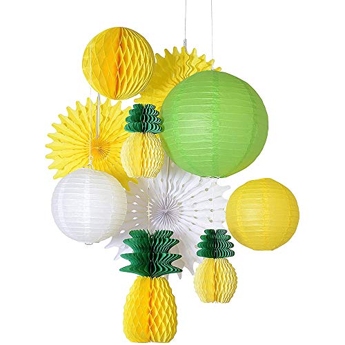 ANCLLO Papierlaterne mit Wabenanaskugeln, für Geburtstag Hochzeit Foto Hintergrund,Sommerpartys, Tropische Hawaii-Partys, Festivals, Papierfächer, Dekoration von ANCLLO