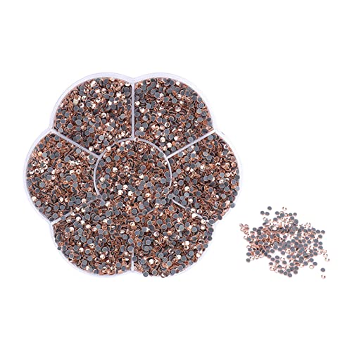 ANKROYU 14400pcs Glasversesteine glänzende glänzende transparente DIY -Nagelkunstdekorationen mit Hitzefixkleber für Kleidungsschuhe Handtaschen und Handwerksprojekte (S601-Champagne) von ANKROYU