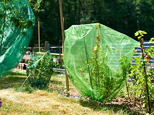 1 STK. Frucht-Schutzbeutel - 100x100 cm - mit Zugband, moosgrün. Zum Schutz vor Wespenfrass, Vögel, Kirschessigfliege und andere Insekten. Traubenschutz, Organzabeutel (100x100 cm) von Anlaufs-Fruchtschutz24