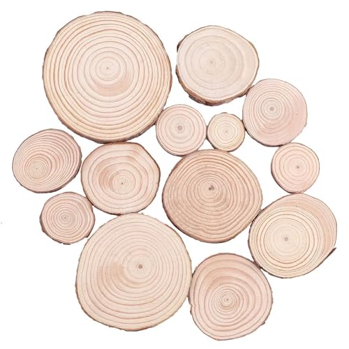 20 Stück unbehandeltes Kiefernholz, natürliche runde Holzscheiben, Kreise mit Baumrindenscheiben for DIY-Bastelarbeiten, Hochzeitsfeier, Malerei, Dekoration FüR Diy Handwerk(6-7cm) von ANQKYO