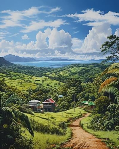 ANSIWEIGO Entdecken Sie einzigartige Malen-nach-Zahlen-Sets,Landschaft von Puerto Rico,Landschaft,Natur,entfesselte Kunstfertigkeit,Ihre Leinwand,Ihre Farben,40x50 cm,ohne Rahmen von ANSIWEIGO