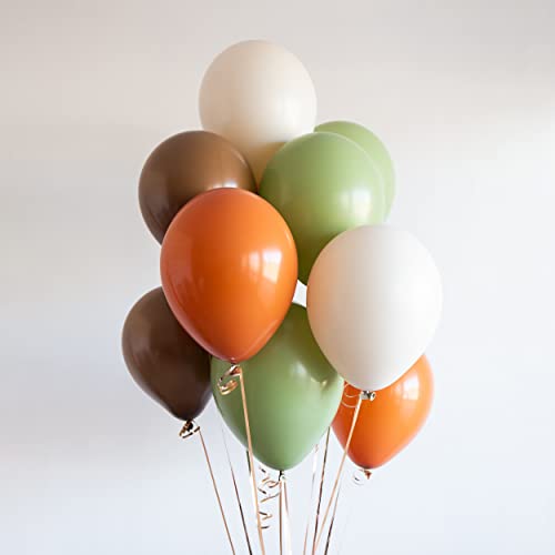 Retro Grün Luftballons Set - 60 Stück 12 Zoll Sage Grüne Orange Braun Latex Ballon Sandweiß Cream Helium Ballons mit Bändern für Kinder Geburtstag Babyparty Dschungel Safari Wild Thema Dekoration von AOLOA