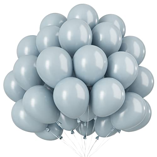 Luftballons Grau - 100 Stück 10 Zoll Grau Mini Helium Latex Luftballon, Geburtstag Klein Grau Partyballon für Hochzeit, Babyparty, Jubiläum von AOLOA
