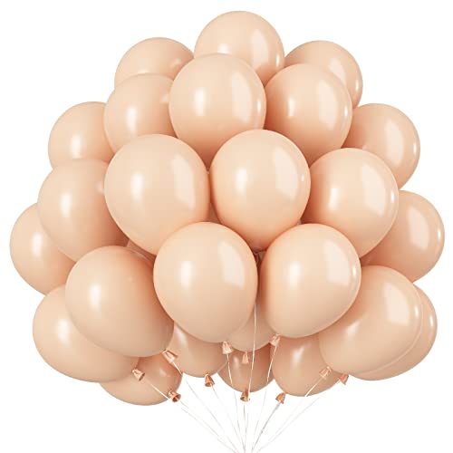 Apricot Luftballons - 100 Stück 10 Zoll Vintage Aprikose Latex Luftballons Partyballon für Babyparty, Hochzeit, Geburtstag Dekoration, Safari Dschungel Party von AOLOA