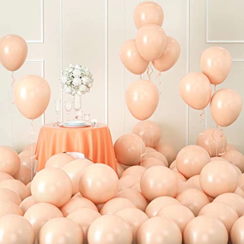 Apricot Luftballons - 35 Stück 5 Zoll Vintage Aprikose Latex Luftballons Partyballon für Babyparty, Hochzeit, Geburtstag Dekoration, Safari Dschungel Party von AOLOA