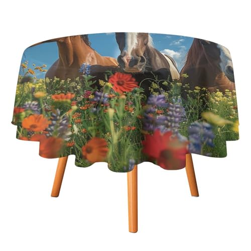 Rustikale, runde Tischdecke mit Gänseblümchen-Pferd im Frühling, 127 cm, für den Esstisch in der Küche, abstraktes Bauernhof-Blumenmuster, Savanne, Tier, Pferd, Tischdecke, runde Tischdecken von AOOEDM