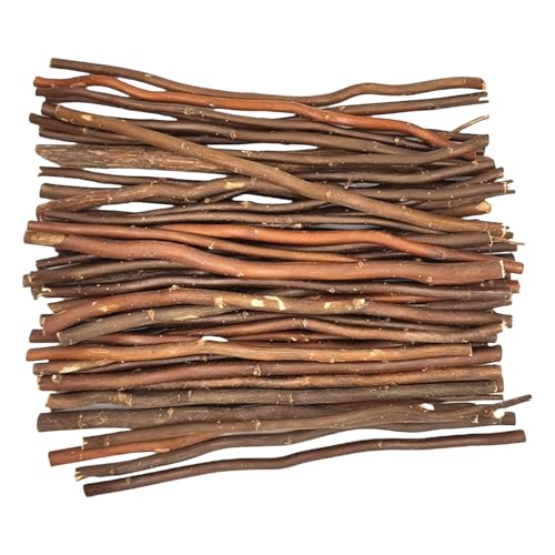 Holzstäbchen für Fotos, Heimdekorationen, Schulprojekte, Holzstäbe für Naturstäbe, 50 Stück Holzstäbchen für Fotos, Heimdekorationen, Schulprojekte, Holzstäbe für Naturstäbe, 50 Stück von AOOOWER