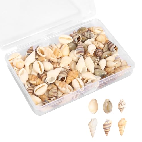 Muscheln Deko, 120 Stück Gemischte Muscheln Deko mit Loch, 6 Stile Natürliche Muschel Perlen DIY Muscheln zum Basteln für Schmuck Machen Deco Handwerk 12-15mm von AOROPS