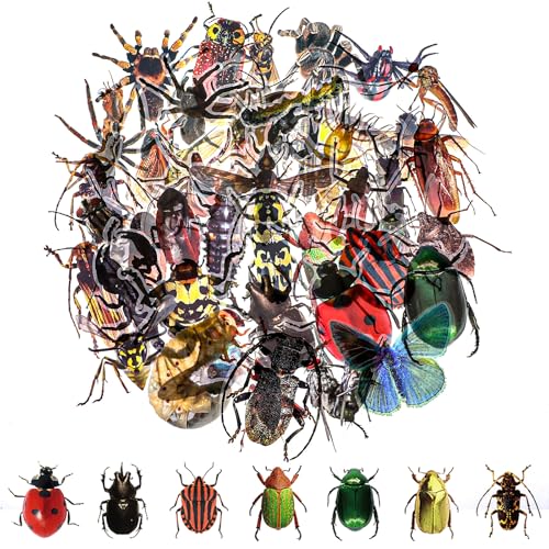 AOZUO 50 Stück Spinne Marienkäfer Deko, Furzkanone Marienkäfer Spiel Insektenaufkleber Realistische Transparente Käferaufkleber Wasserdichte Cartoon Libellenaufkleber Bunte Tier Mischaufkleber AOZUO 50 Stück Spinne Marienkäfer Deko, Furzkanone Marienkäfer Spiel Insektenaufkleber Realistische Transparente Käferaufkleber Wasserdichte Cartoon Libellenaufkleber Bunte Tier Mischaufkleber von AOZUO