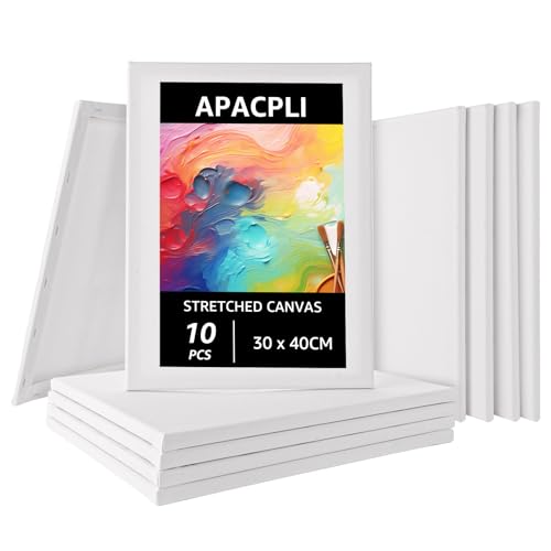 APACALI 10 Stück Keilrahmen 30x40, Leinwand zum Bemalen, Keilrahmen aus Baumwolle, Leinwandbrett Künstler Keilrahmen, Gemälde Leinwandrahmen, säurefreie weiße Leinwand für Bastler und Künstler von APACALI