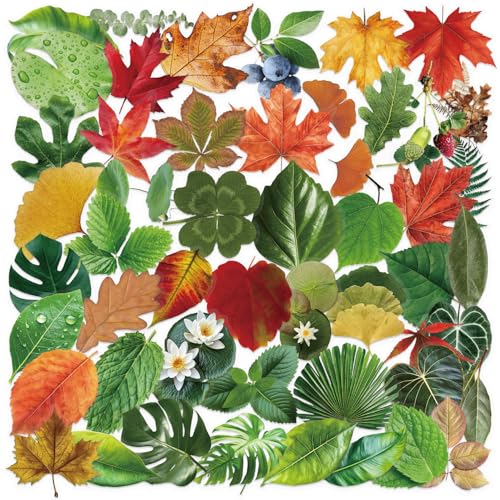 APAREAL 50 Stück Blatt Aufkleber für Scrapbooking Journal Laptop MacBook Koffer Fahrrad Auto, Wasserfeste Transparente PET Sticker APAREAL 50 Stück Blatt Aufkleber für Scrapbooking Journal Laptop MacBook Koffer Fahrrad Auto, Wasserfeste Transparente PET Sticker von APAREAL