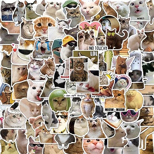 APAREAL Katze MEME Sticker 100 Stück, Graffiti Lustig Aufkleber für Laptop Kindle Motorrad MacBook Journal Scrapbook Fahrrad Skateboard Koffer, Wasserfeste Vinyl Decals für Teenager und Erwachsene von APAREAL
