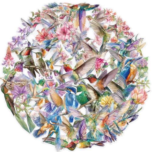 APAREAL Kolibri Stickers Set, 50 Stück Kawaii Vogel Aufkleber für Laptop Scrapbooking Journal Kindle Skateboard Notebook Gitarre Koffer Fahrrad, Wasserfeste Transparente PET Sticker von APAREAL
