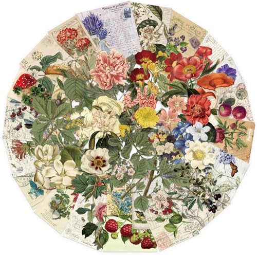 APAREAL Vintage Blumen Aufkleber 50 Stück, Aesthetic Pflanze Sticker Set für Scrapbooking Journal Laptop Kindle Motorrad MacBook Fahrrad Skateboard Koffer, Wasserfeste Transparente PET Sticker APAREAL Vintage Blumen Aufkleber 50 Stück, Aesthetic Pflanze Sticker Set für Scrapbooking Journal Laptop Kindle Motorrad MacBook Fahrrad Skateboard Koffer, Wasserfeste Transparente PET Sticker von APAREAL