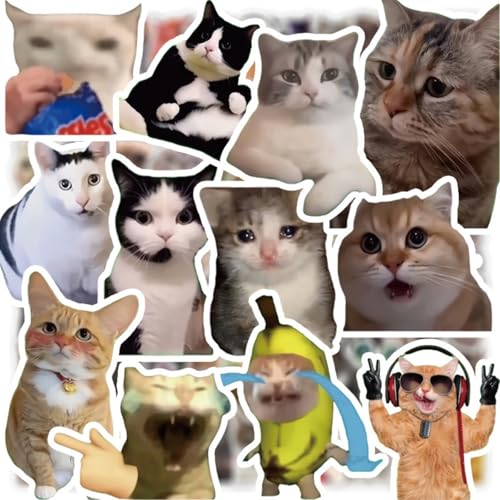 100 Stück Lustige Meme Sticker Set, Wasserfeste Katzen Aaufkleber, Meme Aufkleber für Auto Laptop Skateboard Fahrrad Moped Motorrad Fahrrad Computer,Geeignet für Erwachsene Kinder von AQCQDQ