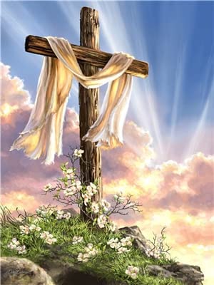 AQjept 5D Diamond Painting Kreuz Jesus Religiöse Kunst Full Bohrer Diamant Malerei Handgemachtes Wohnzimmer Wanddekoration 40X50Cm Rahmenlos, Bildfarbe von AQjept